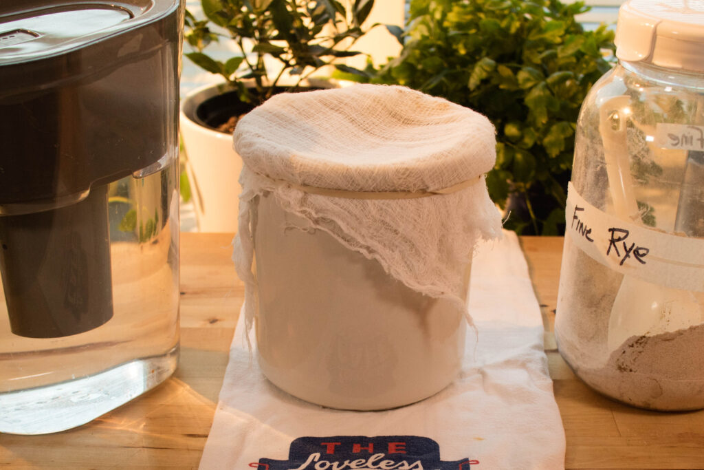 A view of a crock container with Swedish rye sourdough starter.