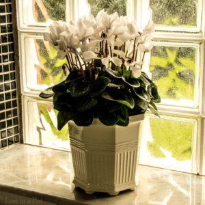 Prince Eugene's Waldemarsudde flower pot.