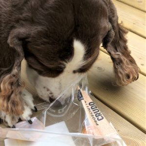 Chloe girl going for the prosciutto. Chloe girl going for the prosciutto.