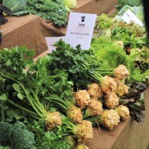 Celeriac at the market. Celeriac at the market.