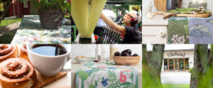 A image collage of Ekelunds Master Weavers. Image from Ekelund's Media Room or website. A image collage of Ekelunds Master Weavers. Image from Ekelund's Media Room or website.