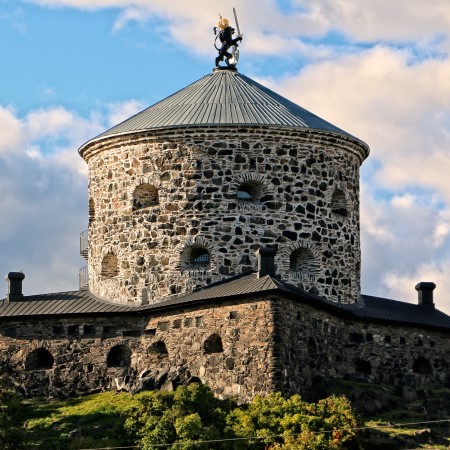 Sweden_skansenlejonet_by_fred_pettersonic